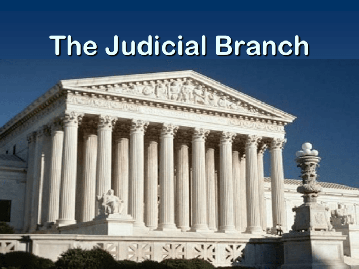 Branch judicial guides