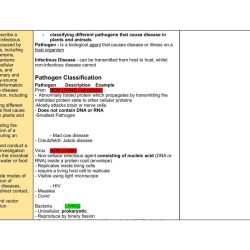 Student review guide biology 1 eoc