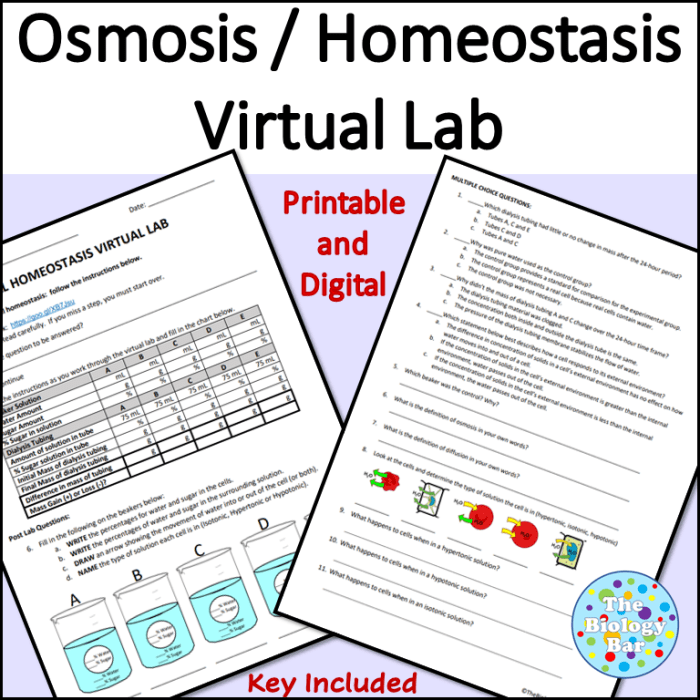 Cell homeostasis virtual lab answer key pdf