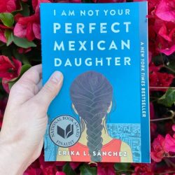 I am not your perfect mexican daughter sparknotes