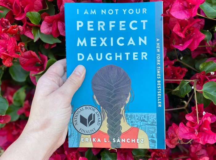 I am not your perfect mexican daughter sparknotes